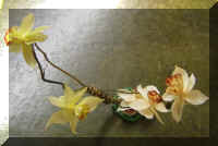 Daffodils1.jpg (54786 bytes)
