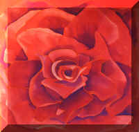 BMB101Rose.jpg (57568 bytes)