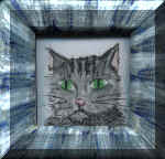 DOR008Cat.jpeg (41726 bytes)