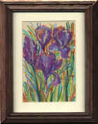 TER110Crocus.jpeg (59288 bytes)