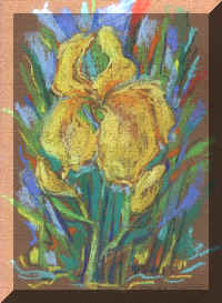 TER227Irises'P.jpeg (56738 bytes)