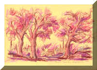 TER252PinkSunset.jpeg (57005 bytes)